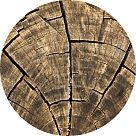 Натуропринт (Naturoprint)