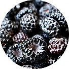 Бойзенова ягода