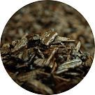 Лаосский уд