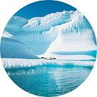 Арктикаль (Arctical)