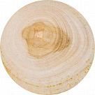 Тиковое дерево