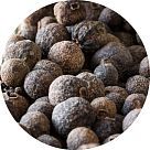 Ямайский перец