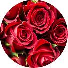 Гивескон (Givescone)