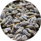 Семена петрушки