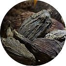 Черный кардамон