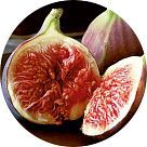 Фиголид (Figolide)