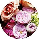 Розифолия (Rosyfolia)