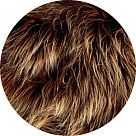 Амбретон (Ambretone)