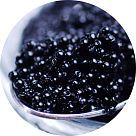 Черная икра