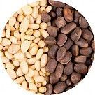 Кедровые орехи