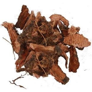 Корень ириса