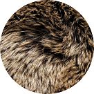 Анималистические ноты