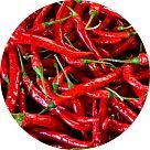 Стручковый перец (чили)