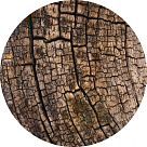 Древесный аккорд