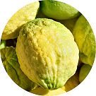 Цедрат (цитрон)