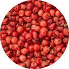 Розовый перец (красные ягоды)