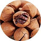 Гикори (хикори)