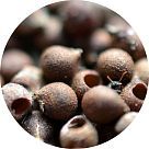 Семена гибискуса