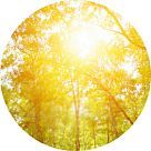 Солнечные ноты