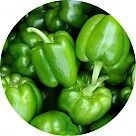 Зеленый перец