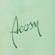 Acosy