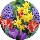 Галаксолид супер (Galaxolide Super)