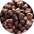 Гельветолид (Helvetolide)