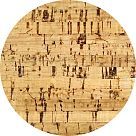 Пробковое дерево