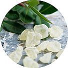 Смола мастикового дерева