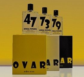 Acqua Novara Acqua Novara