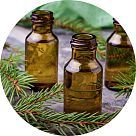 Пихта (Канадский бальзам)