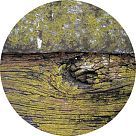 Лоренокс (Lorenox)