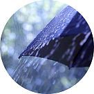 Альдемон (Aldemone) Альдемон (Aldemone)