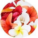 Тропические цветы