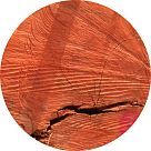 Бразильское красное дерево