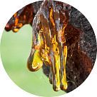 Пихтовая смола