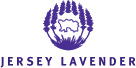 Jersey Lavender