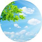 Свежие ноты