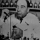 Огюст Мишель