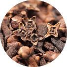 Гвоздика (пряность)