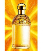 Guerlain Aqua Allegoria Mandarine Basilic 2007 от 180 ₽ в интернет магазине парфюмерии myparfume.ru