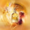 Jean Paul Gaultier Scandal Absolu 2024 от  в интернет магазине парфюмерии myparfume.ru