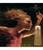 Lobogal Gold 2004 от 1&nbsp;535 ₽ в интернет магазине парфюмерии myparfume.ru