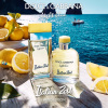 Dolce & Gabbana Light Blue Italian Zest 2018 от 12&nbsp;838 ₽ в интернет магазине парфюмерии myparfume.ru