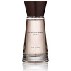 Burberry Touch for Women 1998