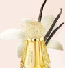 Jimmy Choo Vanilla Love 2020 от 12 239 ₽ в интернет магазине парфюмерии myparfume.ru