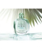 Giorgio Armani Acqua Di Gioia Eau Fraiche 2013 от 16 170 ₽ в интернет магазине парфюмерии myparfume.ru