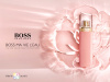 Boss Ma Vie pour Femme L'Eau 2018 от 4&nbsp;959 ₽ в интернет магазине парфюмерии myparfume.ru