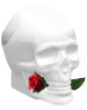 Ed Hardy Skulls & Roses for Her 2012