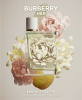 Burberry Her Eau de Toilette 2022 от 833 ₽ в интернет магазине парфюмерии myparfume.ru